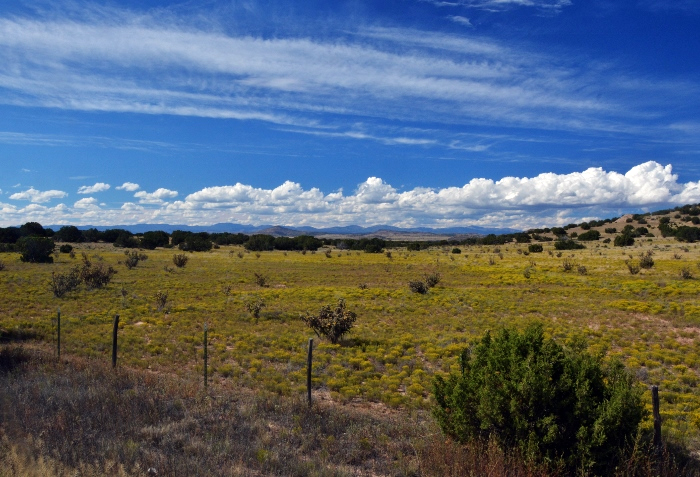 puffy clouds on horizon